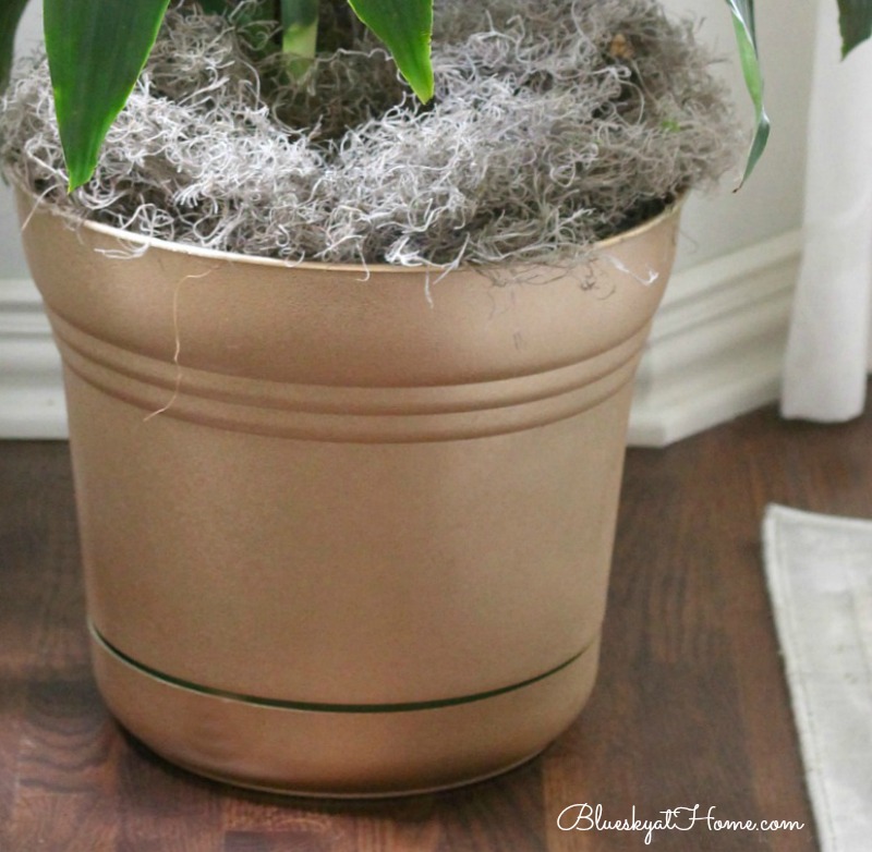 gold painted planter
