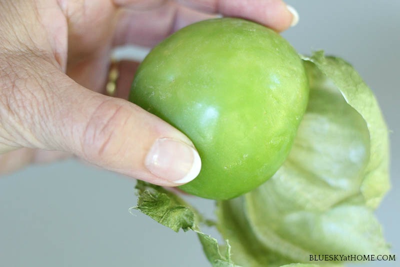 tomatillo for making Cucumber Tomatillo Gazpacho