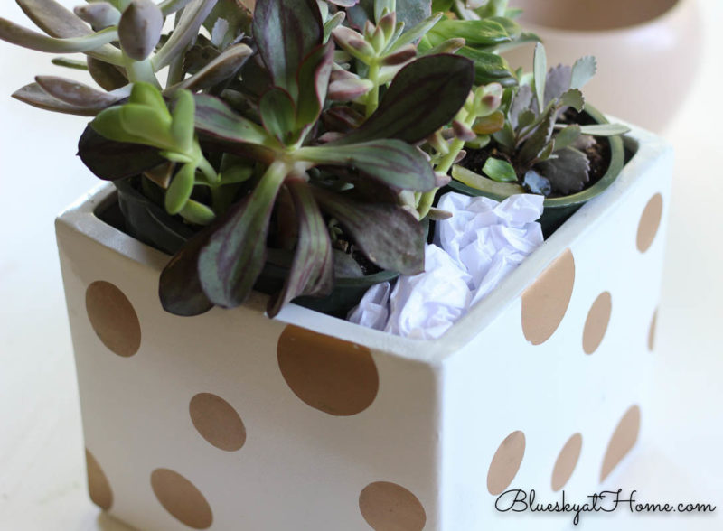 planter with tissue