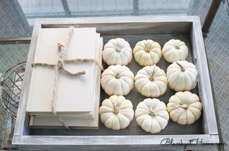 white mini-pumpkins and books in a tray