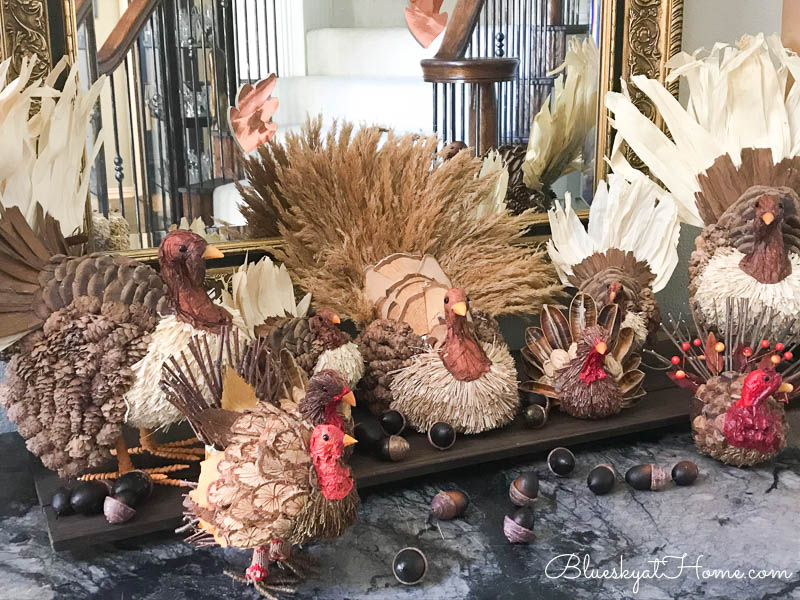 Thaksgiving turkeys