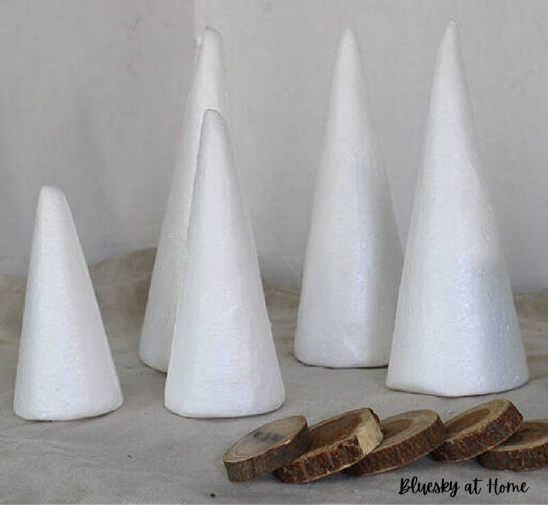 stryofoam cones