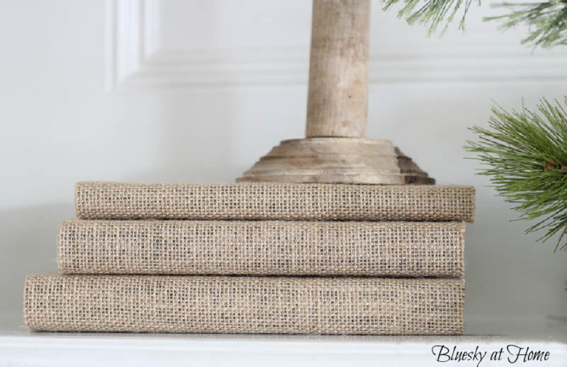 burlap books