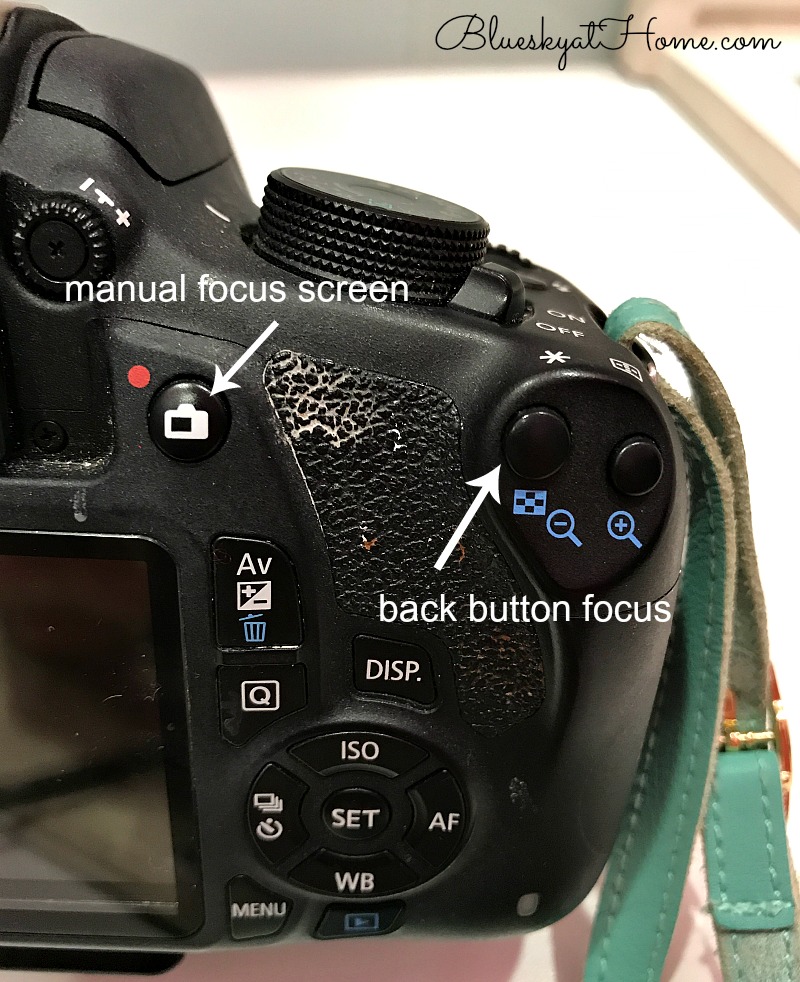 back button focus buttons