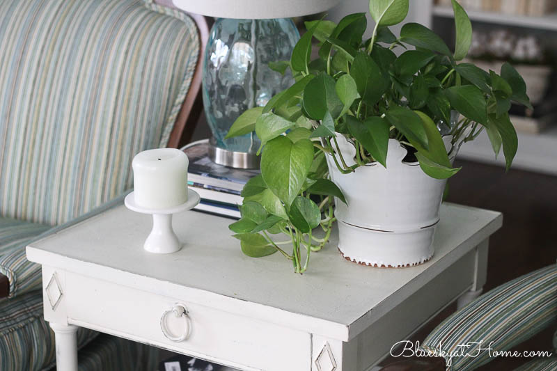 green plant in white container on white table