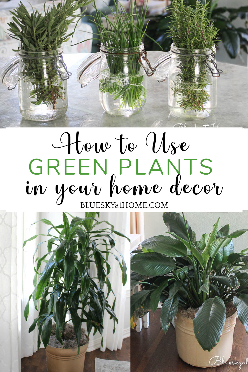 10 Pretty Ways to Use Green Plants in Your Home - Bluesky at Home - Tips For Using Plants In Green Home Decorating