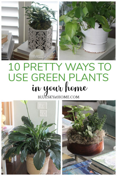 View of 10 Pretty Ways to Use Green Plants in Your Home - Bluesky at Home
