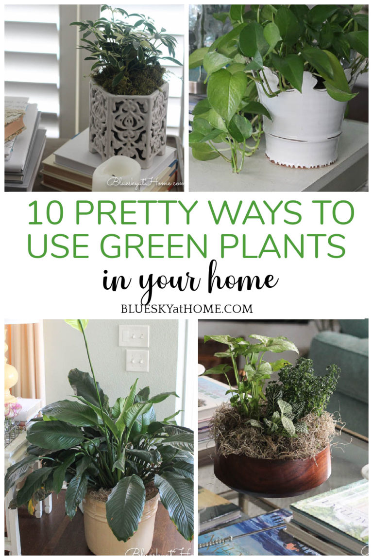 10 Pretty Ways to Use Green Plants in Your Home