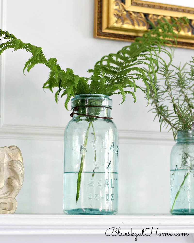 green ferns in mason jars