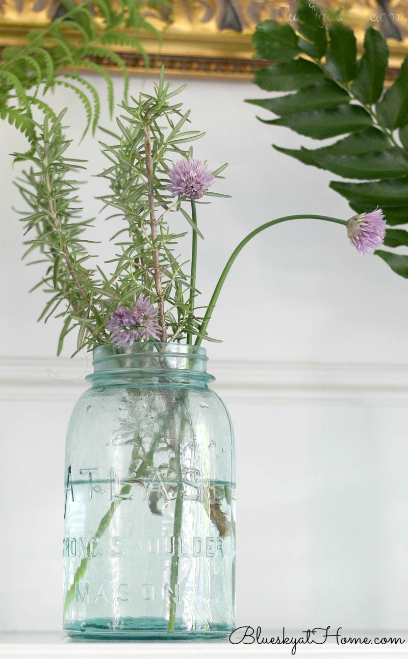 green herbs in mason jars