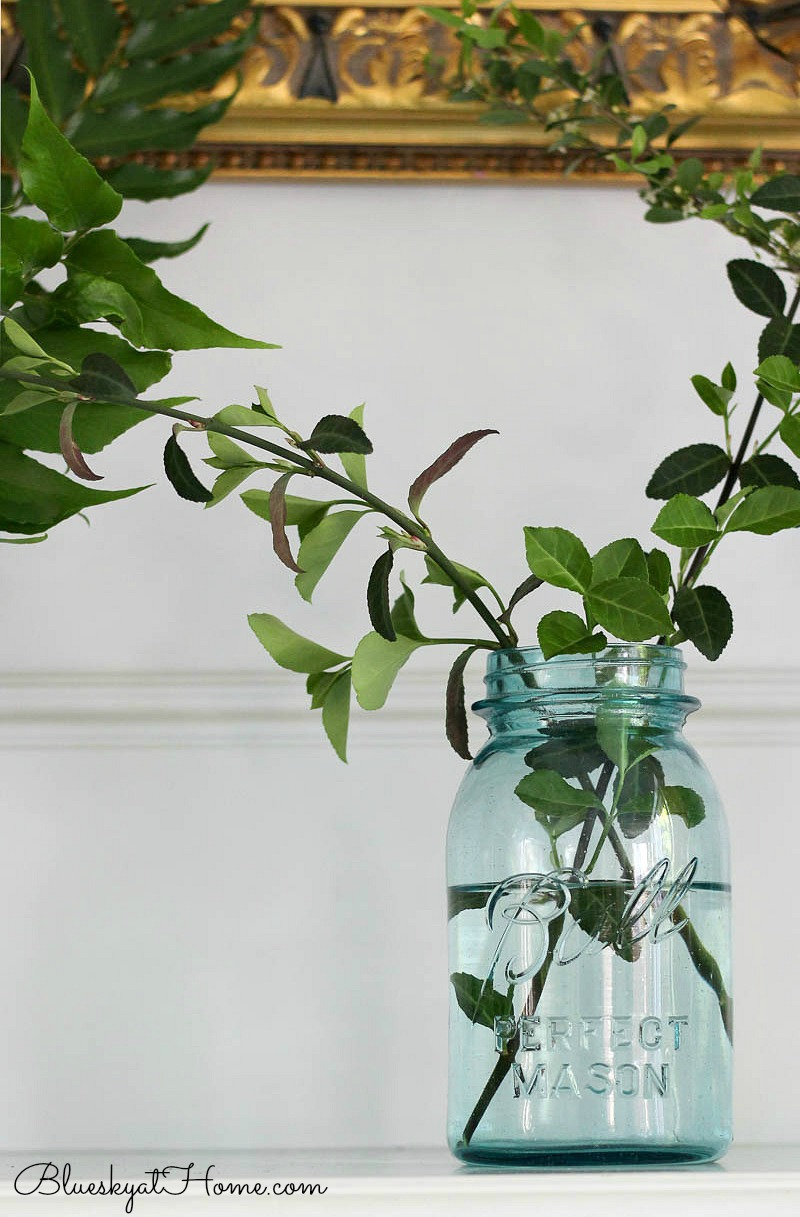 mason jar greenery