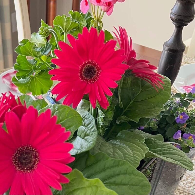 Mother's Day flower arrangement