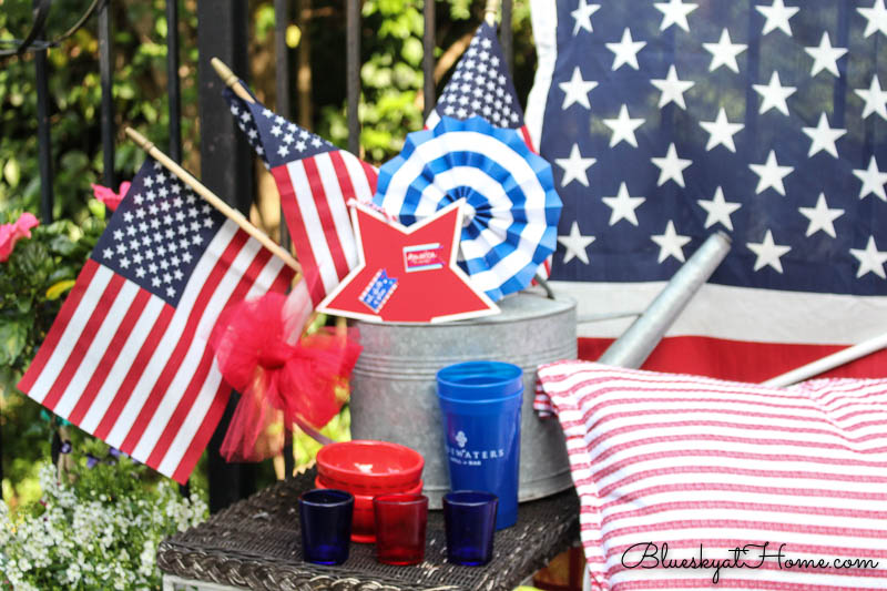 4th of July vignette