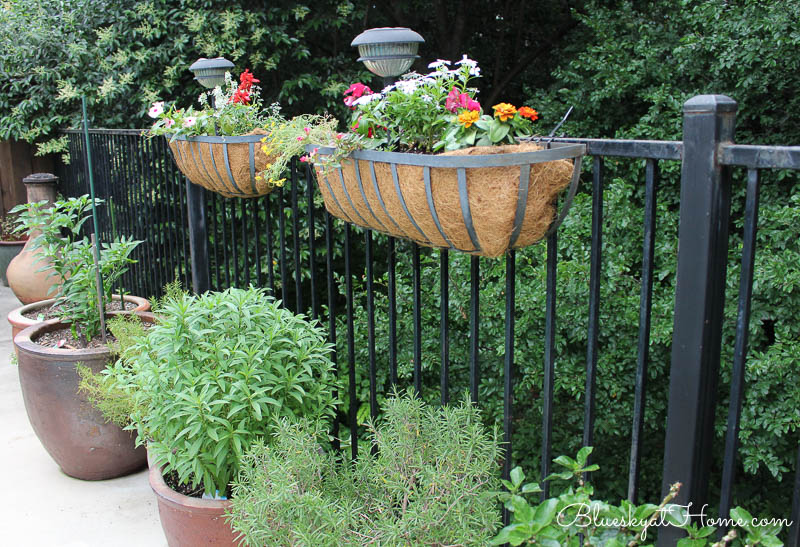 flowers in hayracks with potted herbs