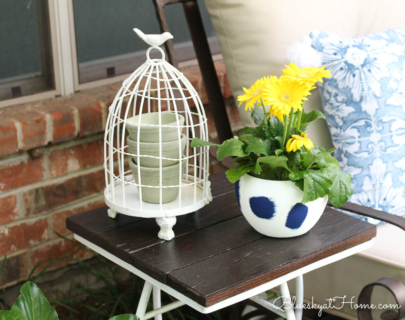 yellow Gerber daisies in blue and white planter