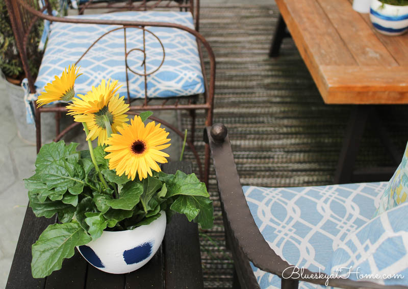 yellow Gerber daisies in blue and white planter