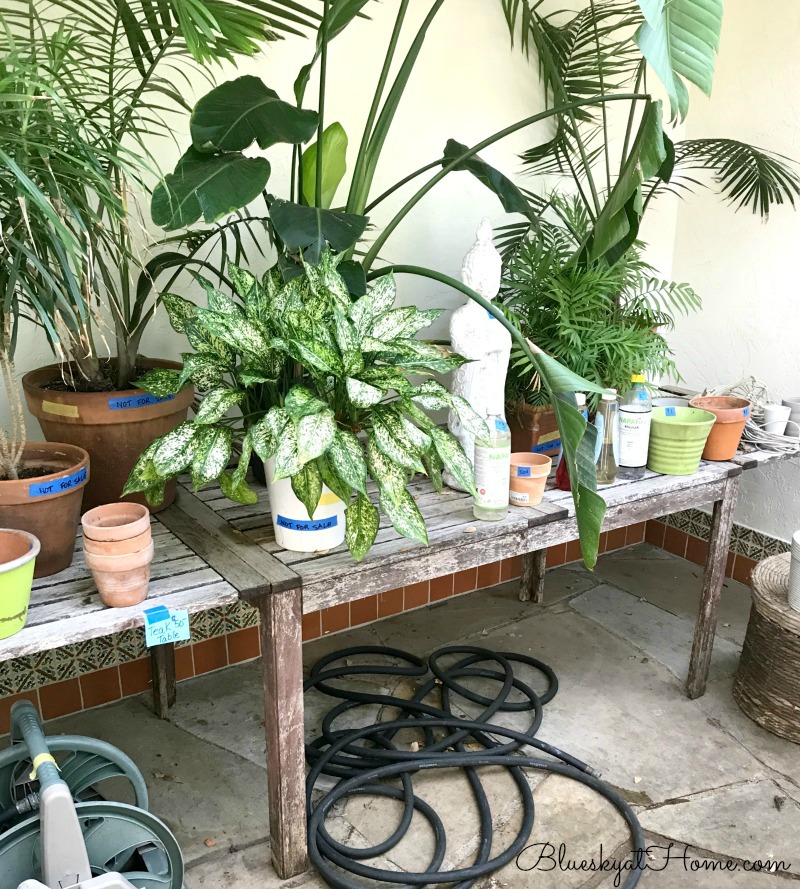 estate sale teak table