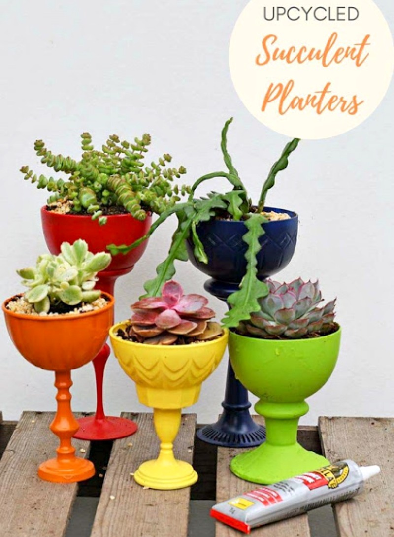 succulent planters