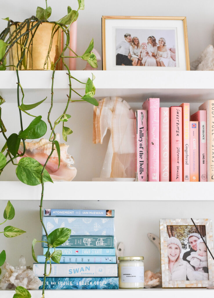 pink and blue pastel books on bookshelf