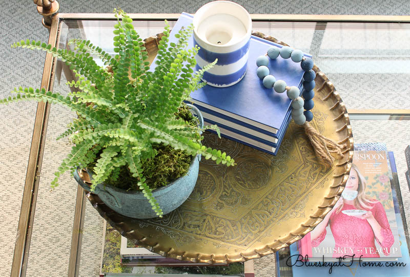 coffee table decor with plant and books