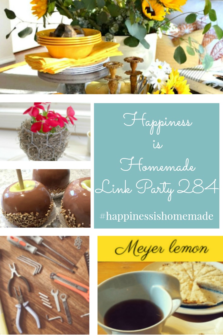 Happiness is Homemade Link Party 284