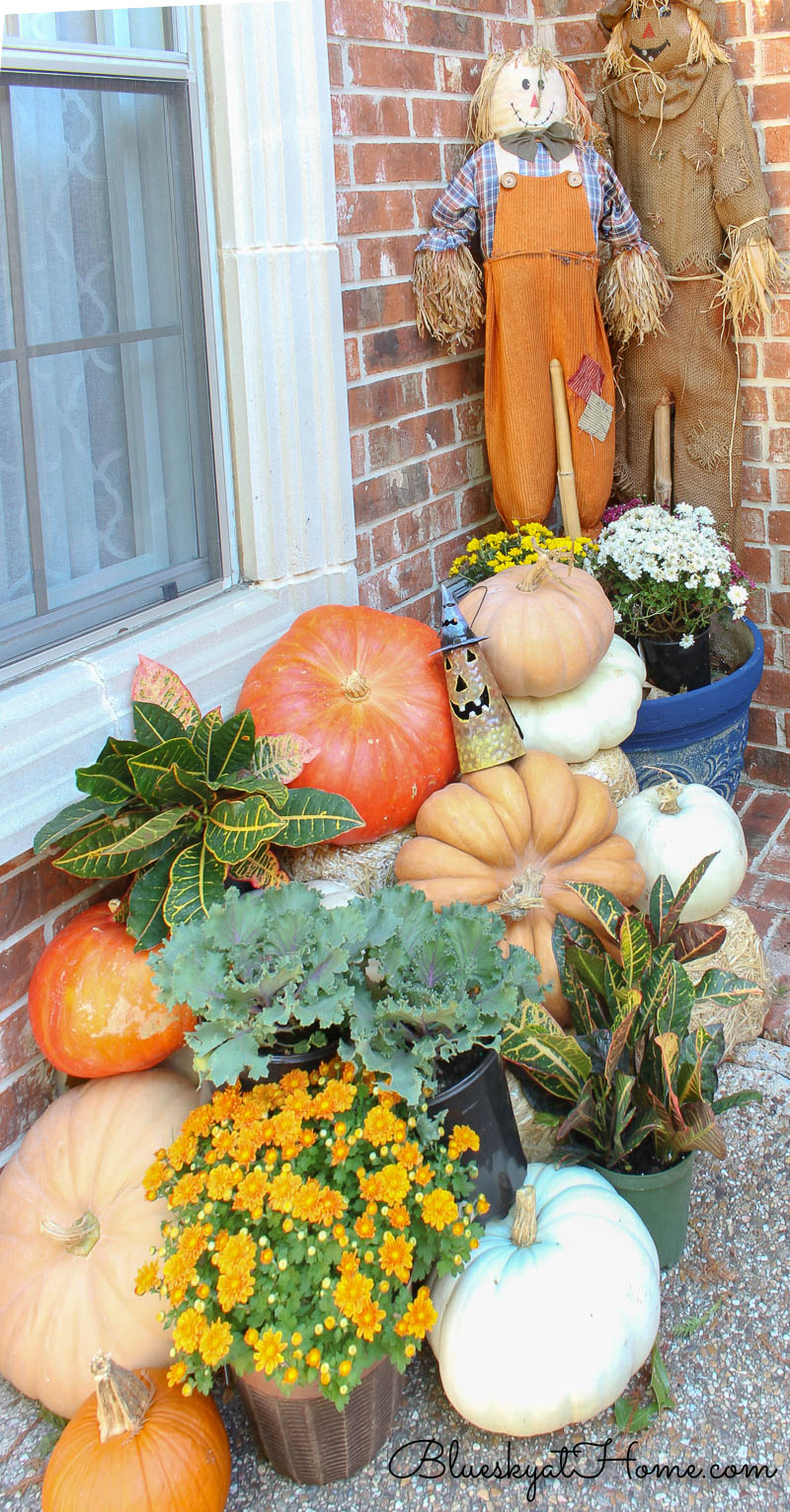 pumpkins and scarecrows