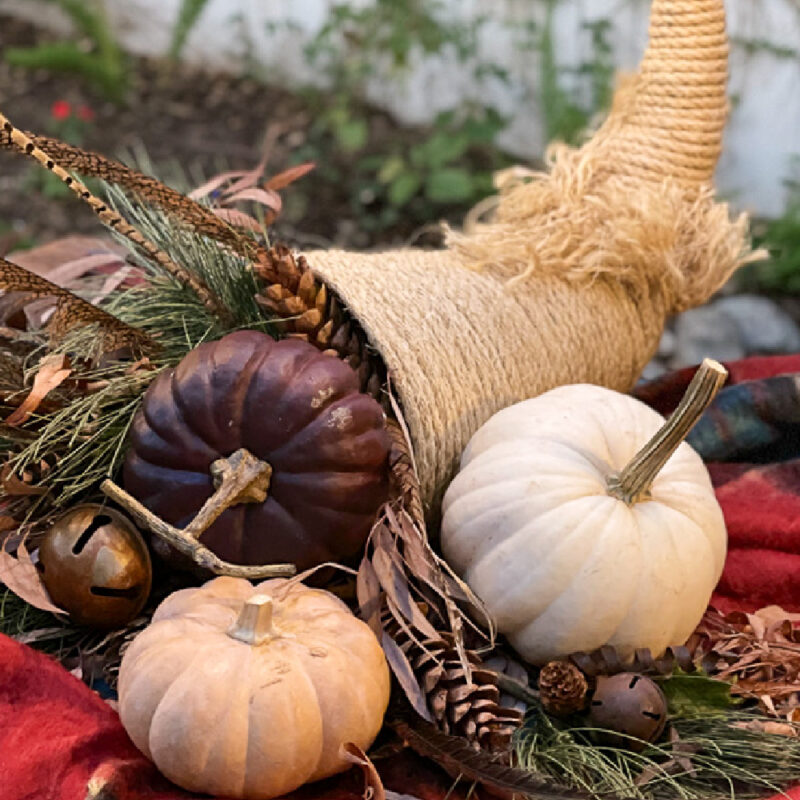 Thanksgiving cornucopia with pumpkins