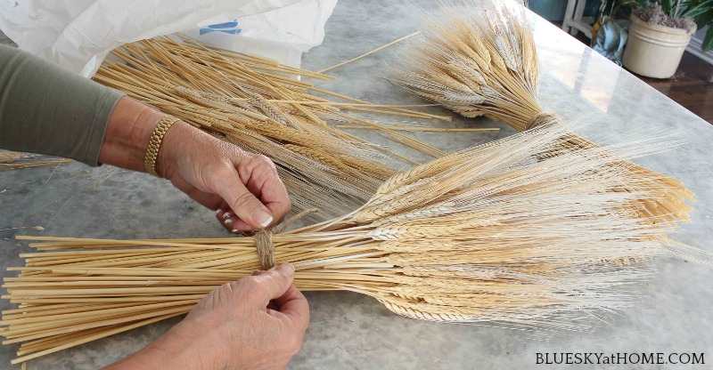 tying up wheat bundle with jute 