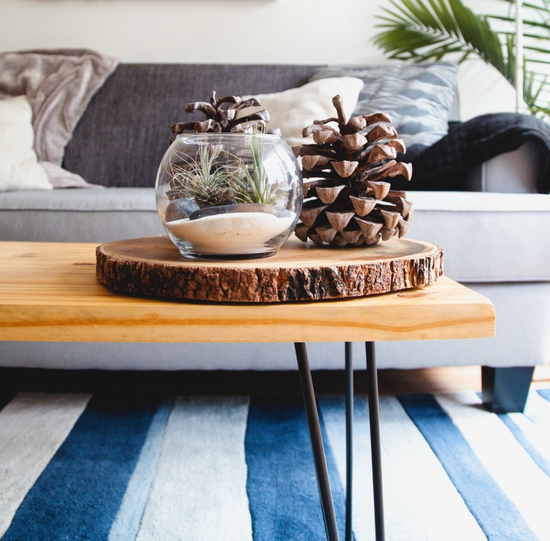 blue and white rug, sofa, blanket, pinecone