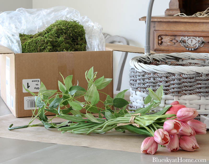 box of green moss