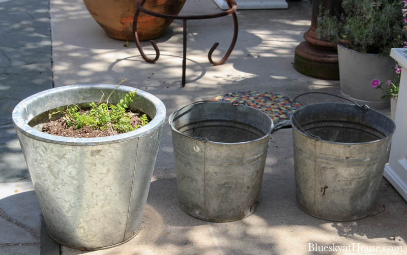 How to Use Galvanized Pails and Flowers