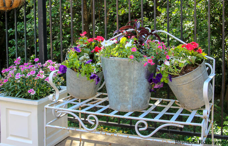 galvanized pails and flowers on bench