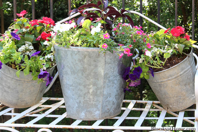 galvanized pails and flowers on bench