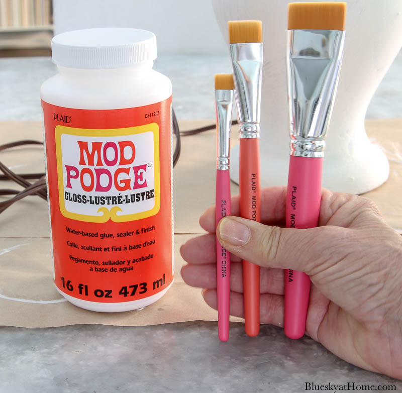 bottle of Mod Podge and brushes