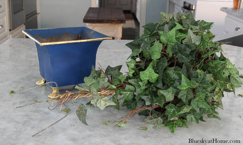 green ivy and blue painted container