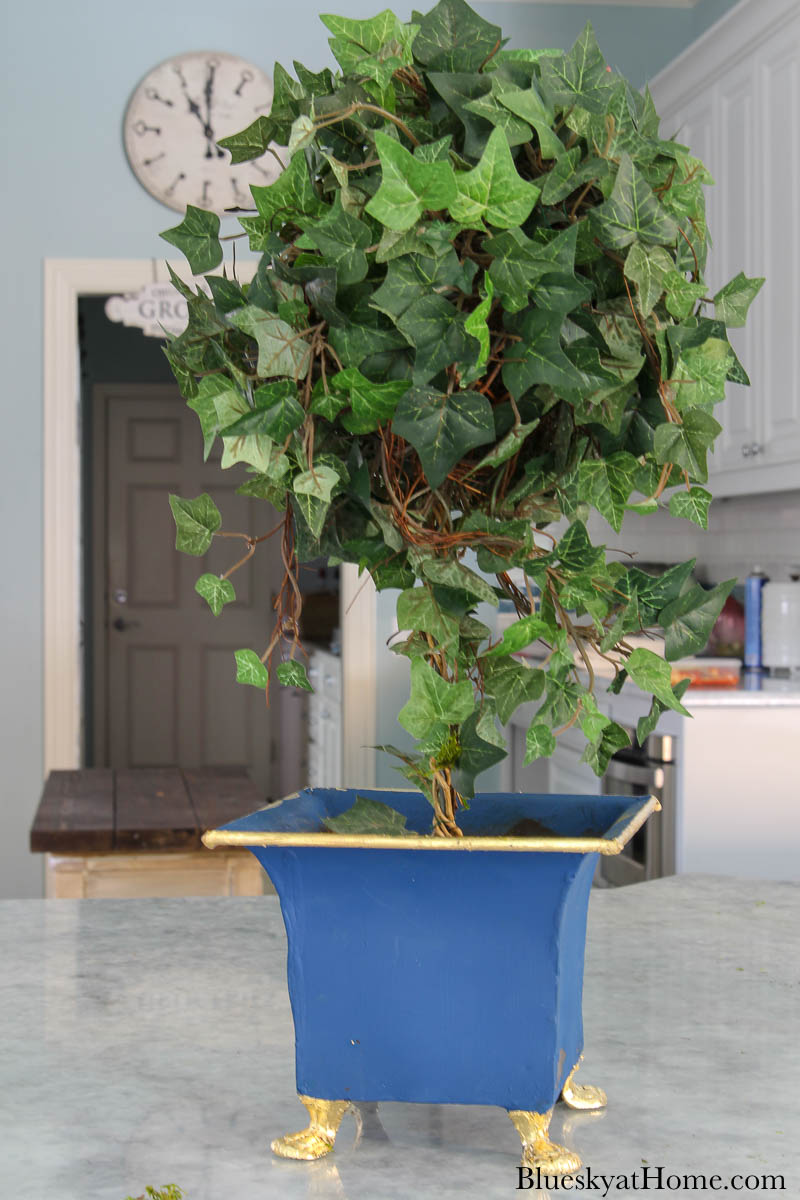 blue painted planter with green topiary