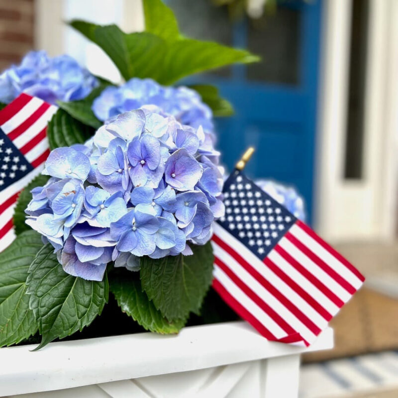 Ideas for Patriotic Flower Pots for Summer