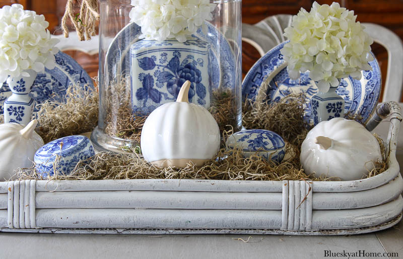 blue and white ginger ar inside cloche with white pumpkin