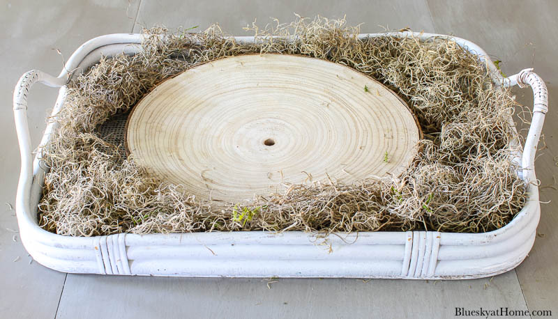 wood slice in tray