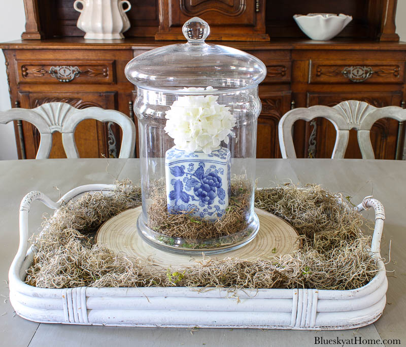 blue and white jar in cloche