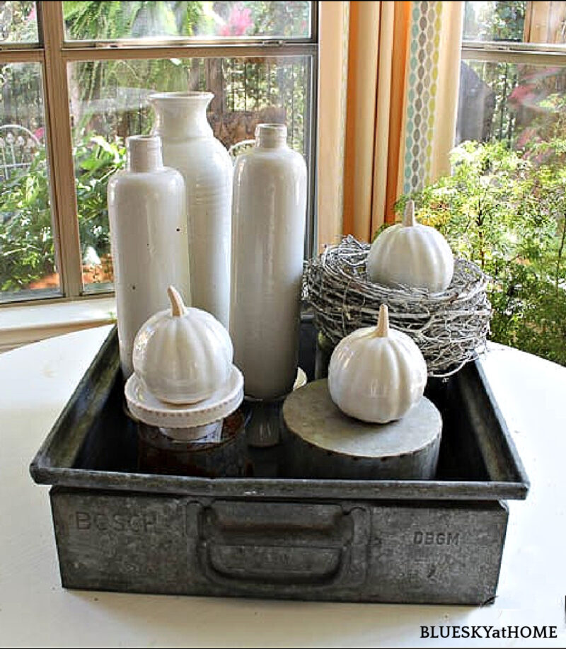 white ceramic pumpkins