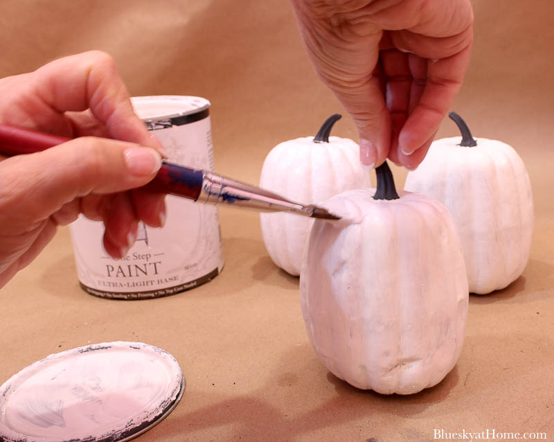 painting white and black pumpkins