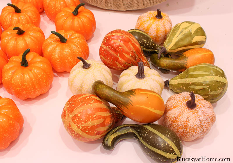 orange mini pumpkins and gourds
