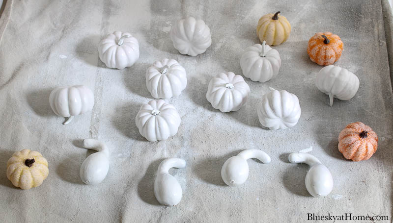 painted white pumpkins