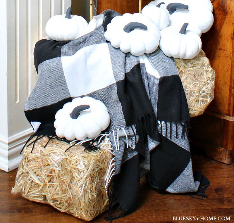 hay bales with black and white shalw and black and white pumpkins