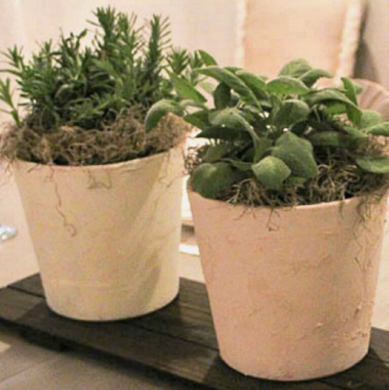 How to Transform New Terra-Cotta Pots for a Vintage Look