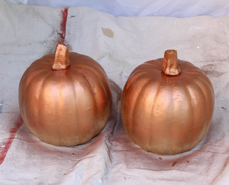 Spray Paint Ideas for Fall Decorations