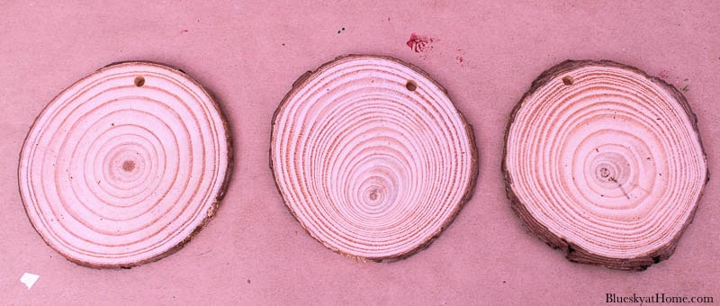 wood slices