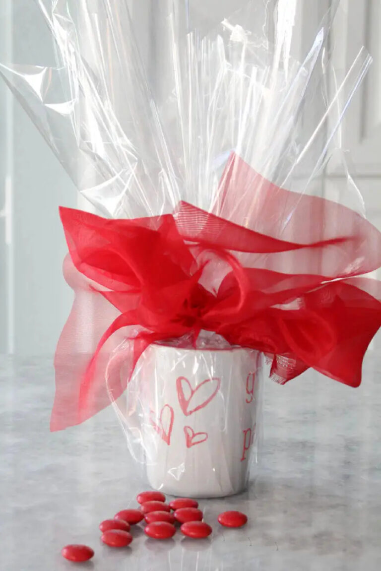 Cute and Inexpensive DIY Valentine’s Gift  Project