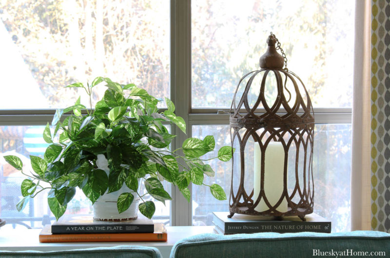 green pothos ivy in white container